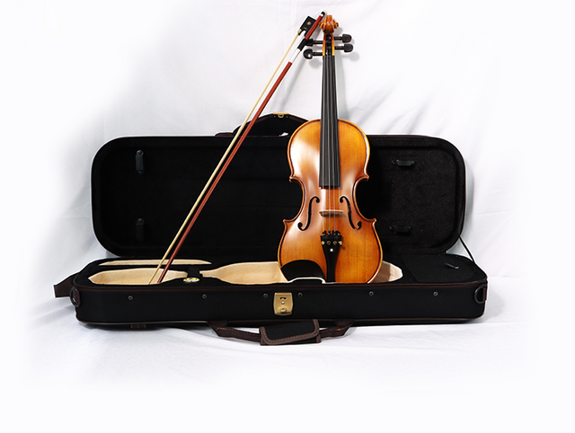 Wholesale Violin Players Professional Best Student Tiger Stripes Violin Spruce Face Maple Back/Side with Wood & Ebony Bows