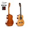 APL-860-SS 39" Professional Classical Guitar｜Grade A Solid Cedar Top + Solid Mahogany Back/Sides｜Tech Ebony Fingerboard｜D'Addario Strings｜High-Gloss Finish
