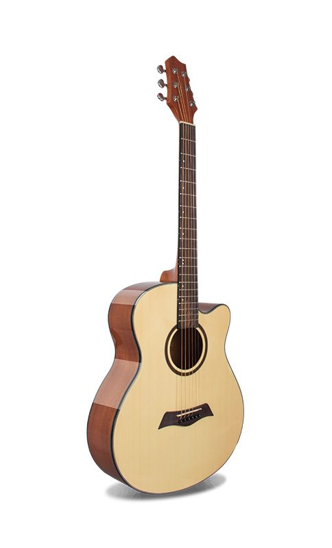EN-20 Custom Spruce Acoustic Guitar 