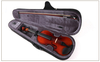 Wholesale Violin Bundle - V86S: 4 Sizes in 1 Carton | Solid Wood Construction | Satin Natural Finish | Retail-Ready Kit