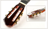 APL-860-SS 39" Professional Classical Guitar｜Grade A Solid Cedar Top + Solid Mahogany Back/Sides｜Tech Ebony Fingerboard｜D'Addario Strings｜High-Gloss Finish