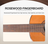 39" Professional Classical Guitar (Non-Cutaway) | Solid Red Pine Top + Rosewood Back/Sides | Bone Nut/Saddle & Rosewood Fingerboard | High Gloss Finish W/Savarez Strings