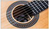 APL-860-SS 39" Professional Classical Guitar｜Grade A Solid Cedar Top + Solid Mahogany Back/Sides｜Tech Ebony Fingerboard｜D'Addario Strings｜High-Gloss Finish