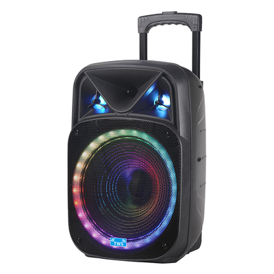 Portable Trolley Speaker Rechargeable Manufacture Wholesale OEM