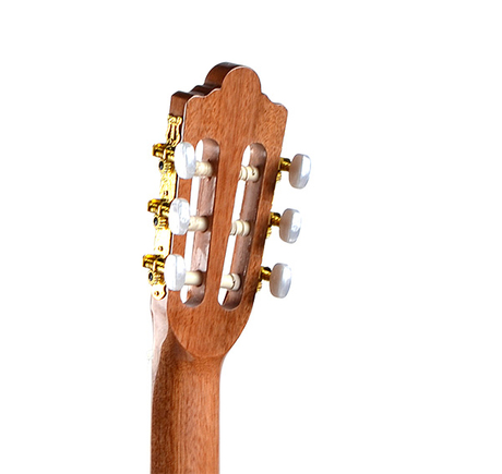 CG-100 Intermediate African Sapele Glossy Full Size Classical Guitar 