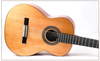 APL-860-SS 39" Professional Classical Guitar｜Grade A Solid Cedar Top + Solid Mahogany Back/Sides｜Tech Ebony Fingerboard｜D'Addario Strings｜High-Gloss Finish