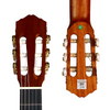 Smiger CGM-20 39" Cutaway Classical Guitar｜Laminated Spruce Top & Walnut Back/Sides｜Matte Natural Finish｜Gold Tuners (Ergonomic Design)