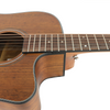 B2B Wholesale M-12X-53 12 Strings Acoustic Guitar – All Walnut Body, Die-Cast Tuners, OEM/ODM Supported