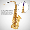 Professional Alto Eb SAX Saxophone Gold Laquer 